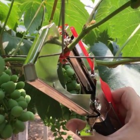  جهاز تربيط وتدبيس العلامات 