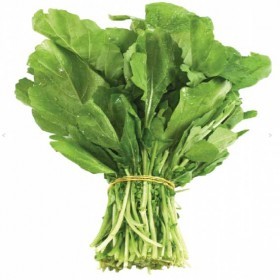  بذور جرجير حساوي عضوي ( ٢٠ غرام ) 