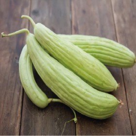  ( 3غرام )    Mekty White  فقوس طروح  أمريكي 